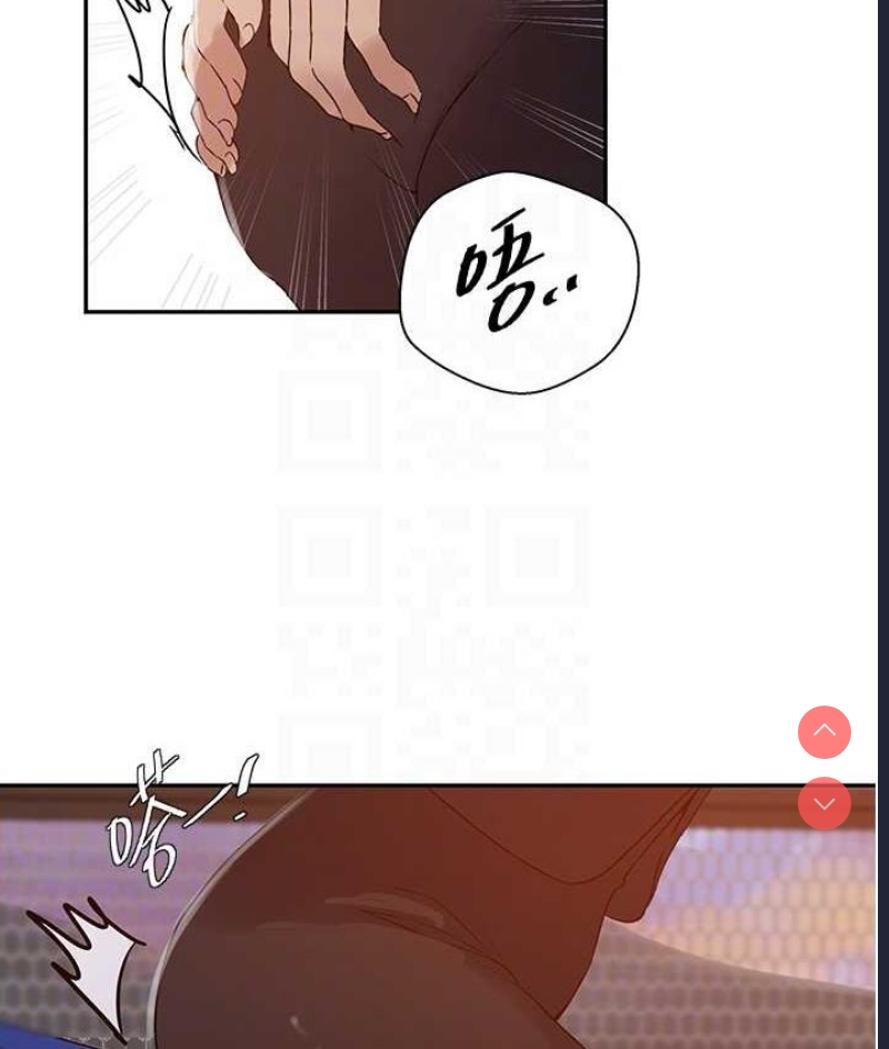 秘密教学 第224话 第43页