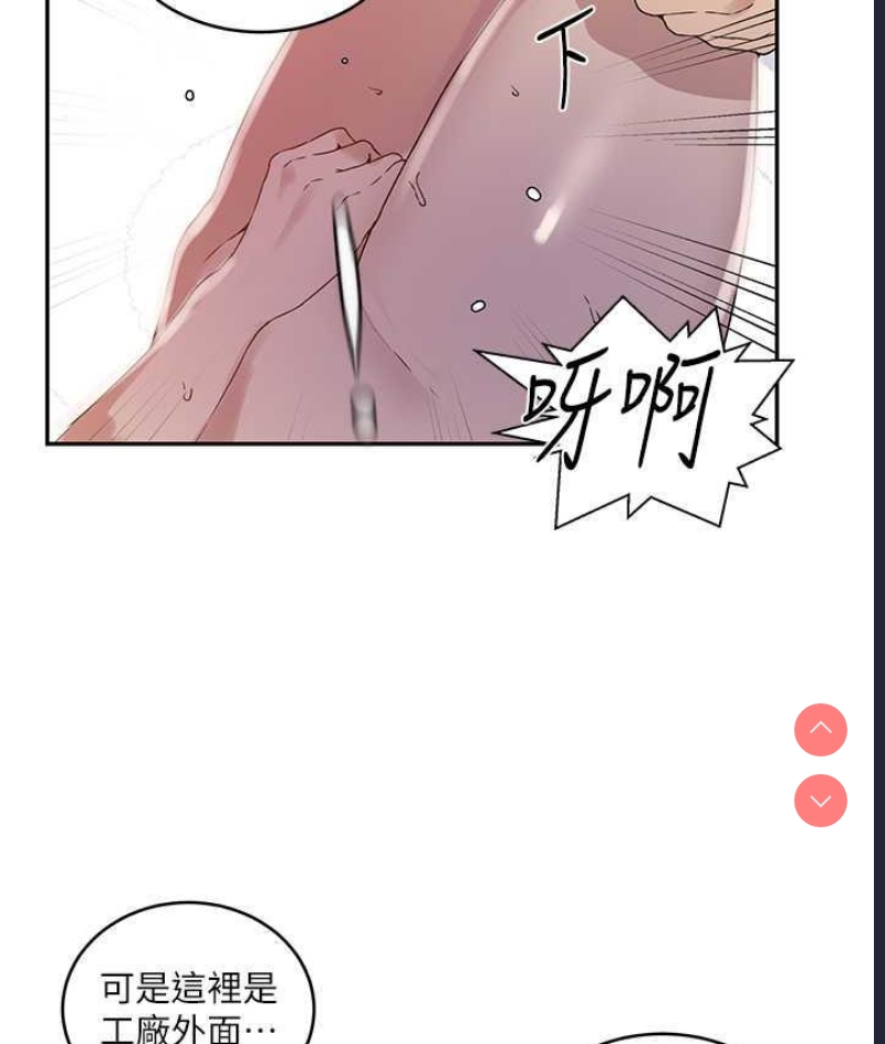 秘密教学 第224话 第53页