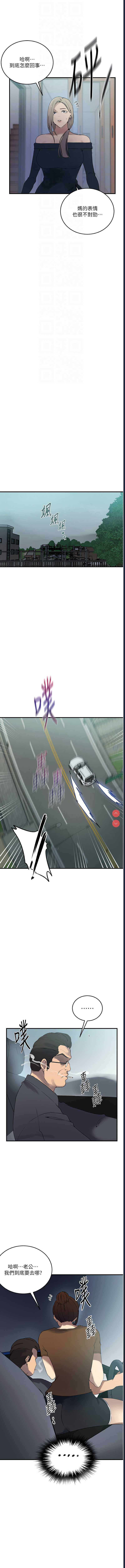 秘密教学 第241话 第12页