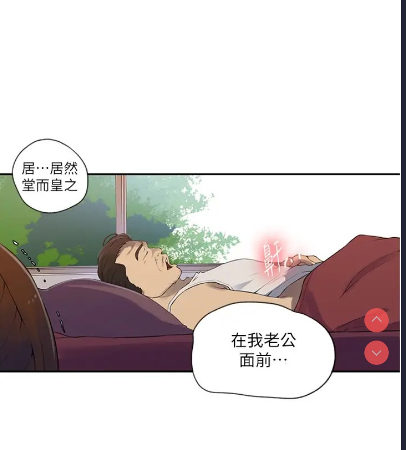 秘密教学 第252话 第81页