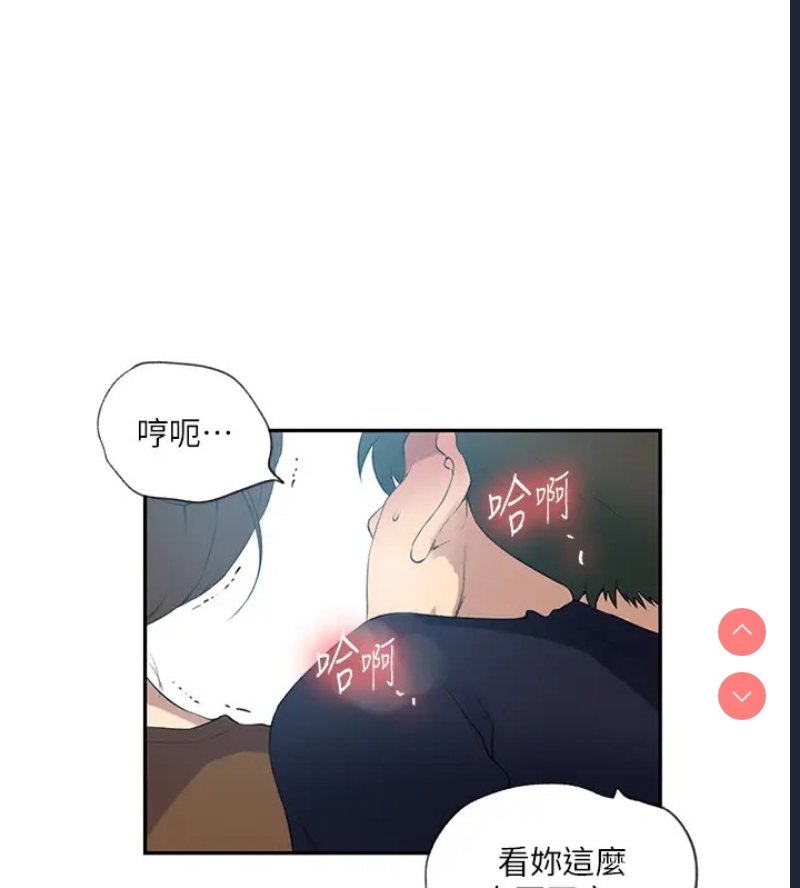 秘密教学 第252话 第97页