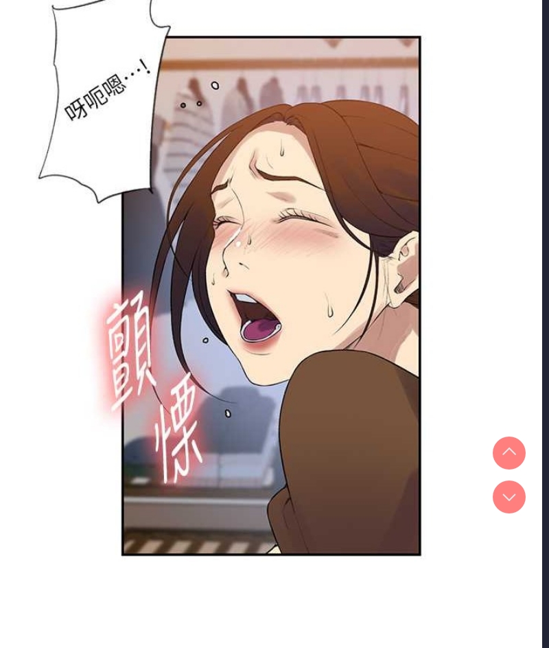 秘密教学 第253话 第19页