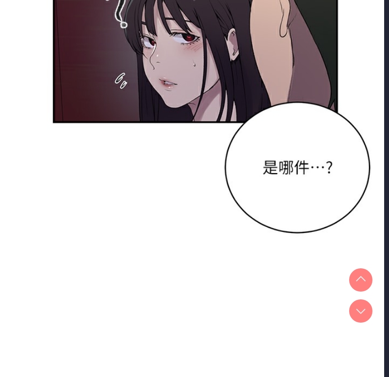 秘密教学 第255话 第100页
