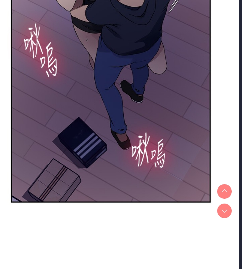 秘密教学 第263话 第43页