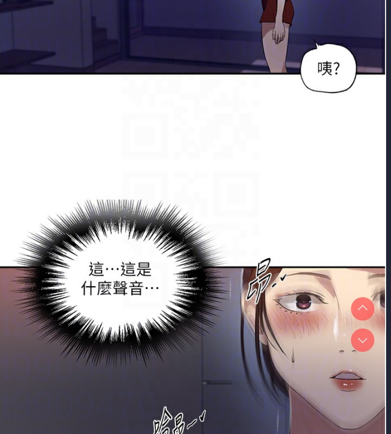 秘密教学 第263话 第97页