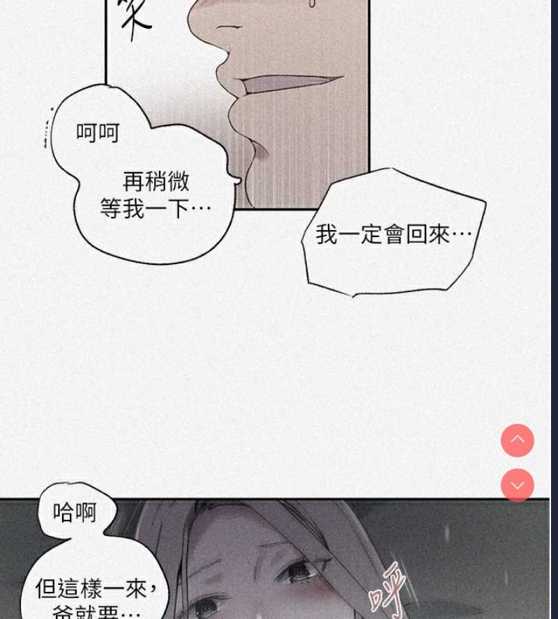 秘密教学 第264话 第5页