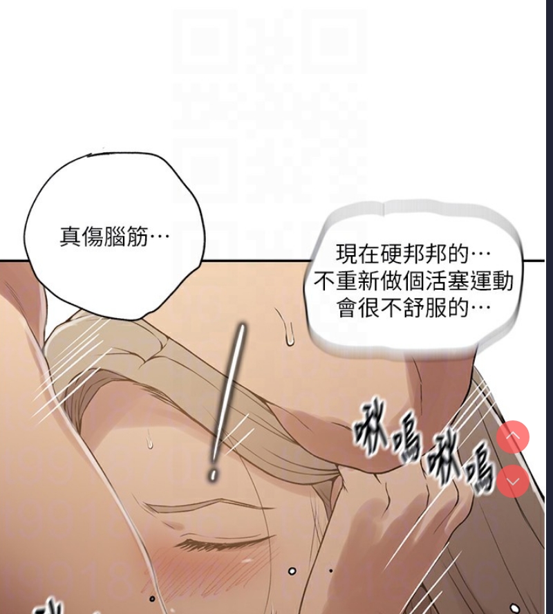 秘密教学 第265话 第17页
