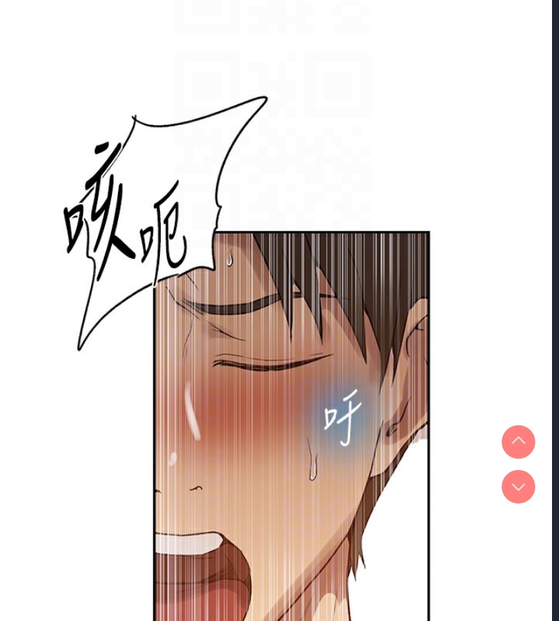 秘密教学 第265话 第65页