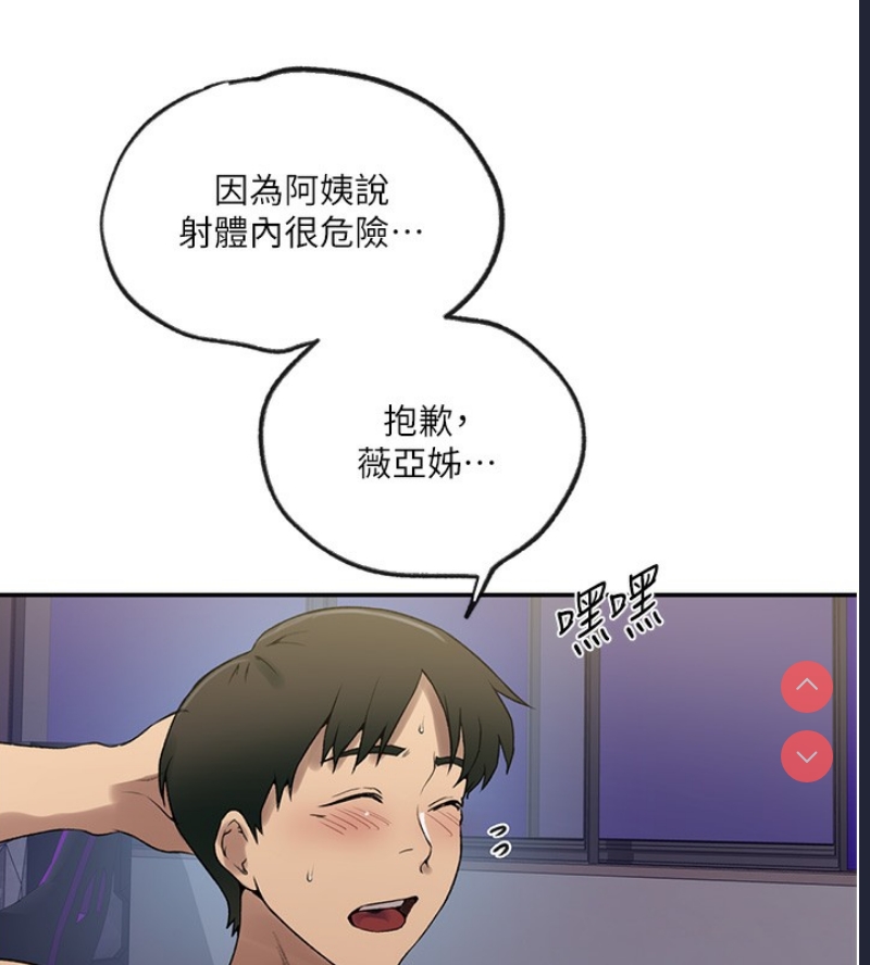 秘密教学 第267话 第37页