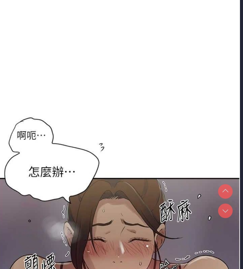 秘密教学 第269话 第24页