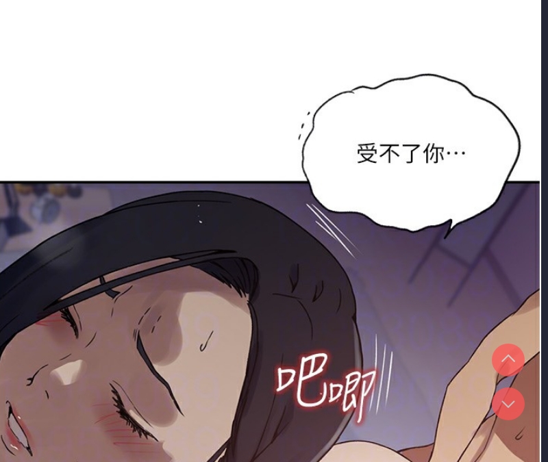 秘密教学 第271话 第46页