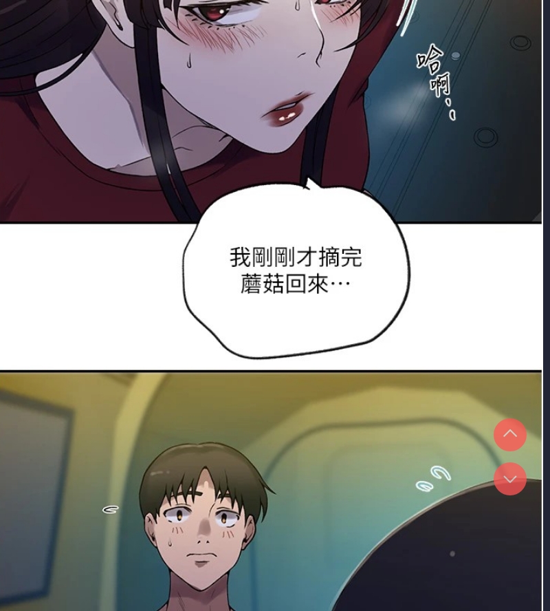 秘密教学 第273话 第37页