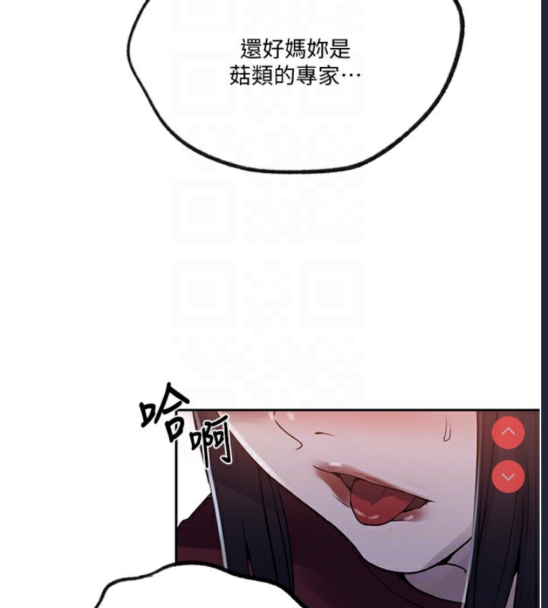 秘密教学 第273话 第85页