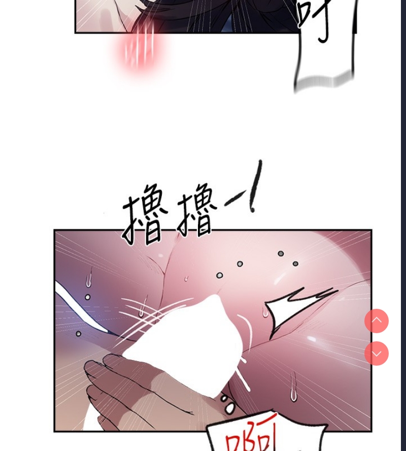 秘密教学 第275话 第43页