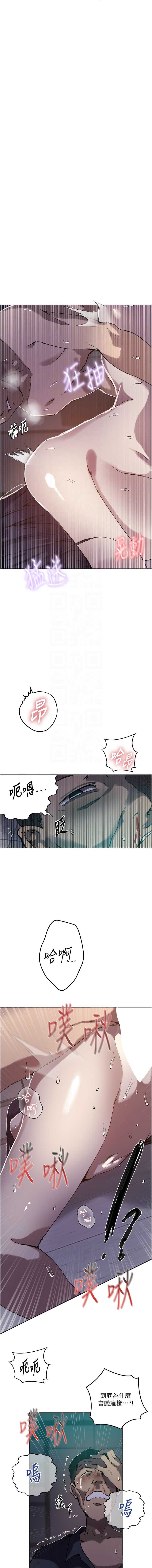 秘密教学 第317话 第11页