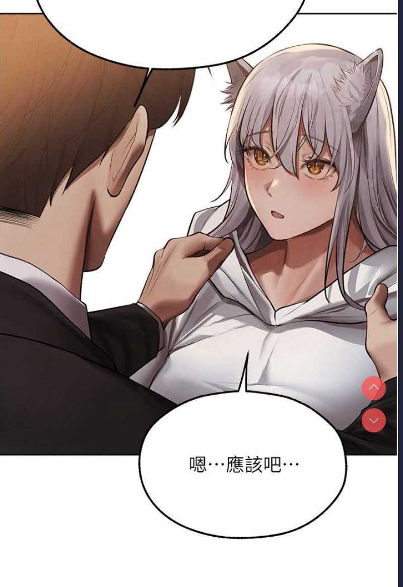 人妻猎人 第47话 第49页
